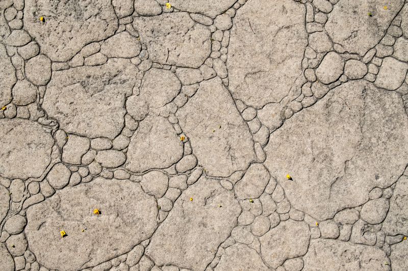 Decorative Concrete Repair in Katy, TX